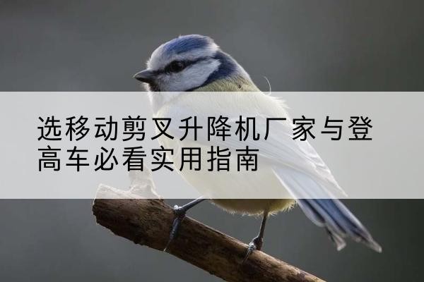 桦川电动升降机厂家-选移动剪叉升降机厂家与登高车必看实用指南