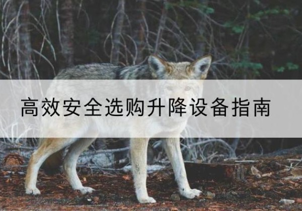 桦川升降货梯厂家推荐-*安全选购升降设备指南