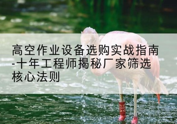 桦川剪叉式升降机厂家-高空作业设备选购实战指南-十年工程师揭秘厂家筛选核心法则